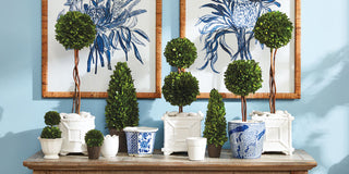 Napa brings drop-in technology to English boxwoods