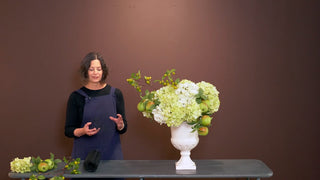 Part 1 | An Abundant, Structured Arrangement