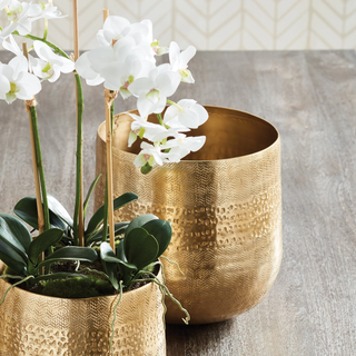 Indoor Pots & Cachepots