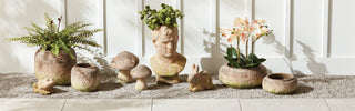 Weathered Garden
