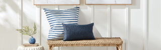 Indoor-Outdoor Pillows