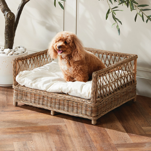 Pet Beds & Accessories