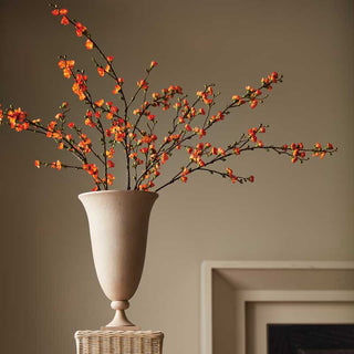 Botanicals - Montecito