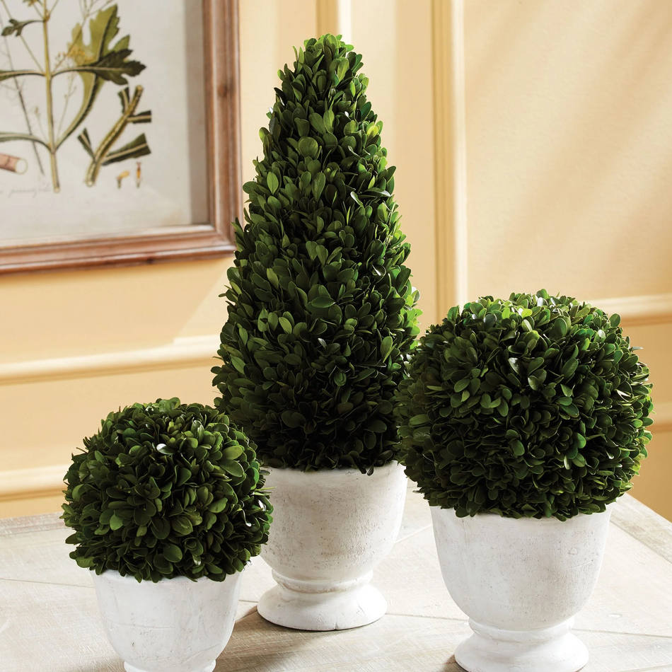 Topiaries β Napa Home & Garden