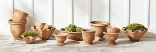 Spring Pot Promotion 2026