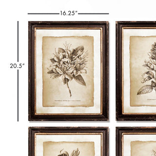 FRAMED VINTAGE FLORAL PRINTS, SET OF 6