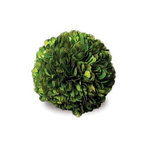 BOXWOOD BALL 4"