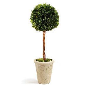 BOXWOOD SINGLE SPHERE TOPIARY 18.5"
