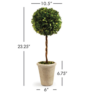 BOXWOOD SINGLE SPHERE TOPIARY 23.25"