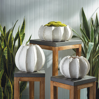 MARINA SEA URCHIN POT 8"