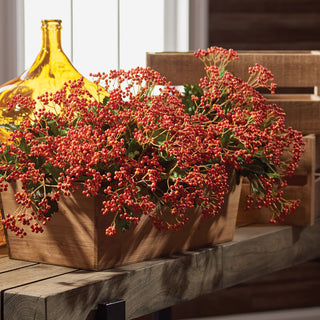 VIBURNUM BERRY BRANCH 30"