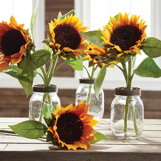 SUNFLOWER CUTTINGS 16", BUNDLE OF 2