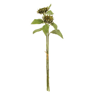 SEEDED SUNFLOWER STEMS 36", BUNDLE OF 2