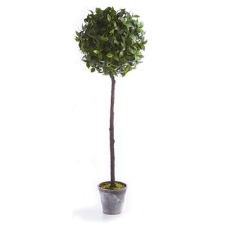 LAUREL BALL TOPIARY POTTED 65"