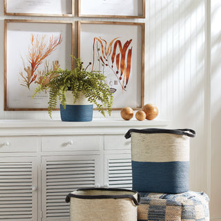 BOSTON FERN DROP-IN 16"