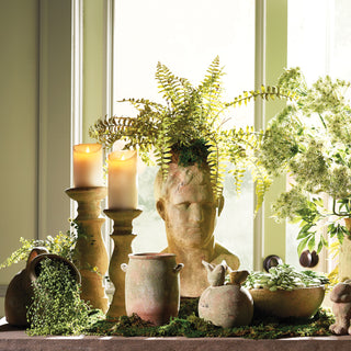 BOSTON FERN DROP-IN 16"