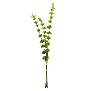 BELLS OF IRELAND 46", BUNDLE OF 3