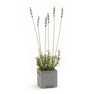 FRENCH LAVENDER SQUARE POT 19"