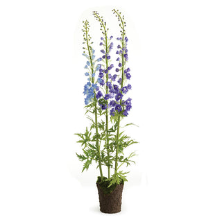 DELPHINIUM DROP-IN 53"
