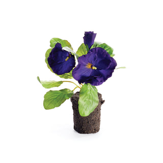 PANSY DROP-IN 6.5"