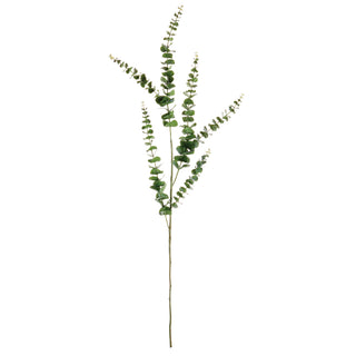 EUCALYPTUS STEM 49"