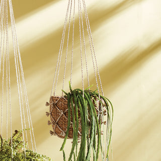 MASANA SEAGRASS HANGING BASKET 11"