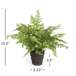 SOFT FERN DROP-IN 10.5"