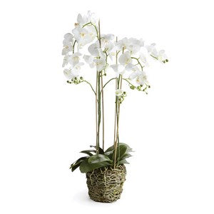 PHALAENOPSIS ORCHID DROP-IN 44"