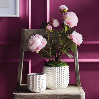 URCHIN POTS, SET OF 2