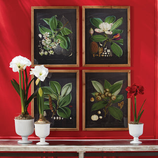 SINCLAIR FOOTED URN SMALL