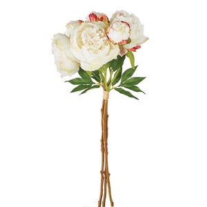 PEONIES 21", BUNDLE OF 3