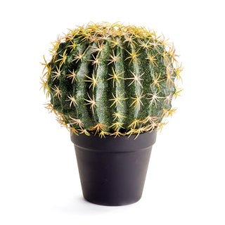 CACTUS DROP-IN 9"