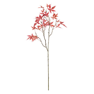 MAPLE LEAF BRANCH 43"