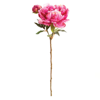 PEONY STEM 21"