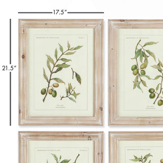 FRAMED OLIVE LEAF BOTANICAL PRINTS, SET OF 4