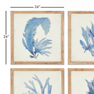 FRAMED CORAL WATERCOLOR PRINTS, SET OF 4