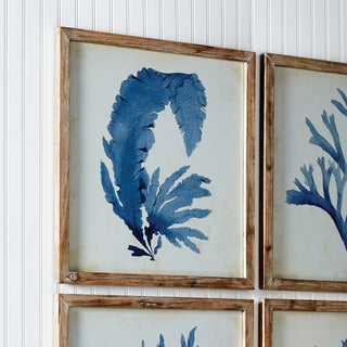 FRAMED CORAL WATERCOLOR PRINTS, SET OF 4