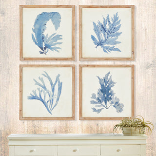 FRAMED CORAL WATERCOLOR PRINTS, SET OF 4