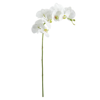 PHALAENOPSIS ORCHID STEM 28"