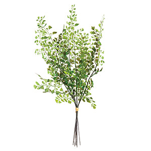 MAIDENHAIR FERN STEMS, BUNDLE OF 7