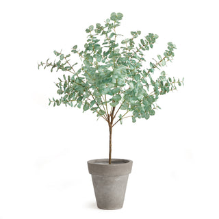 EUCALYPTUS TREE DROP-IN 49"