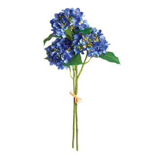HYDRANGEA STEMS, BUNDLE OF 2