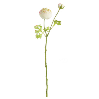 RANUNCULUS STEM 21"