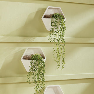 CASSIDY WALL PLANTER