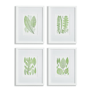 ASSORTED LEAF PRINTS, SET OF 4