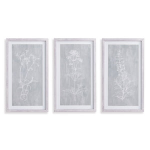 SKETCHED BOTANICAL PRINTS, SET OF 3