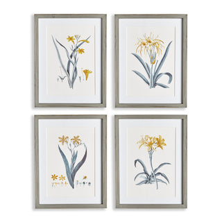 DAFFODIL PRINTS, SET OF 4