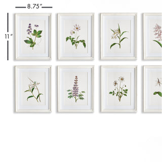 FLOWERS IN BLOOM PETITE PRINTS, SET OF 8