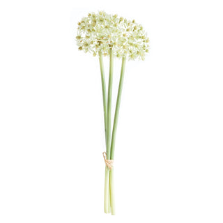 ALLIUM STEMS 19", BUNDLE OF 3