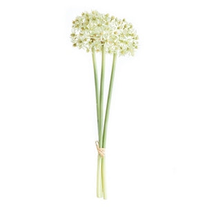 ALLIUM STEMS 19", BUNDLE OF 3
